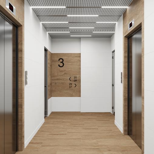 Бетоника Бланко ПРО